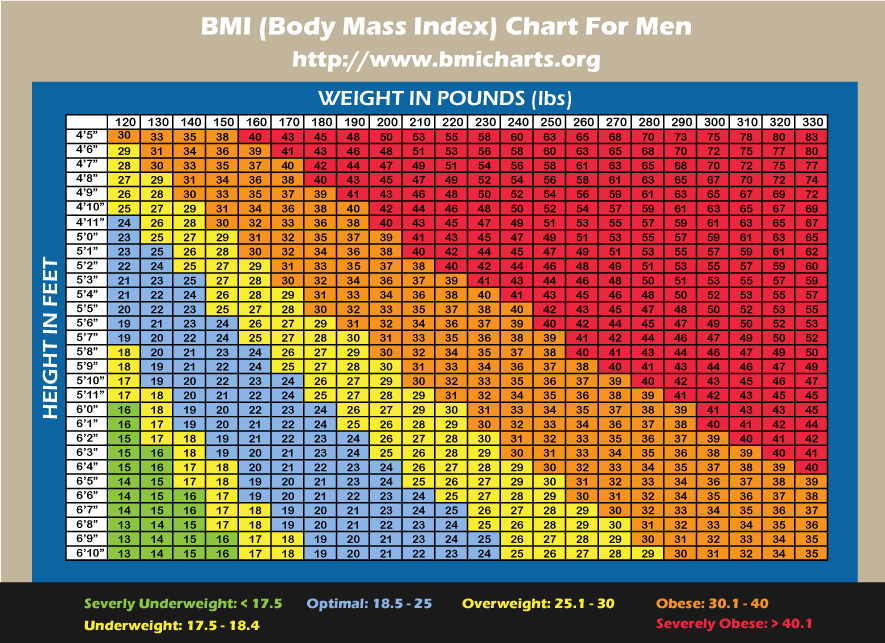 body mass index calculator for adult male