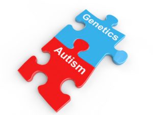 autism genetics