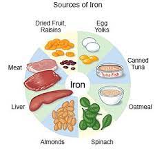 iron sources